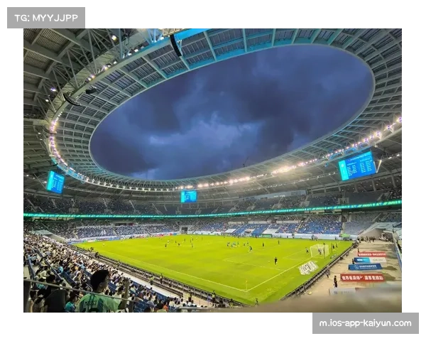 深圳新鹏城外资主导 财务自律追求预算内成绩最大化